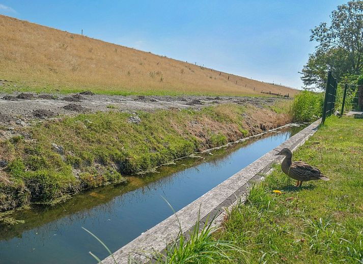 Unterkunft 1605111 - Ferienhaus Lauwersmeer - Vakantiehuis 158 Schafssicht