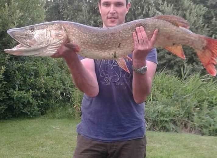 Unterkunft 1605111 - Ferienhaus Lauwersmeer - Vakantiehuis 158 Schafssicht