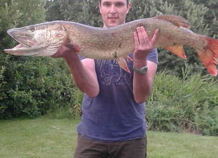 Guest house 1605114 - Holiday property Lauwersmeer - Vakantiehuis 138 Merle