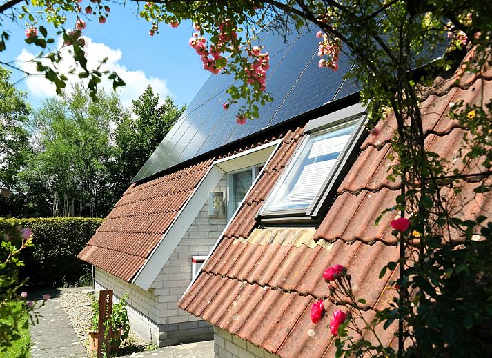 Guest house 1605127 - Holiday property Lauwersmeer - Vakantiehuis 181 Urlaubsruhe