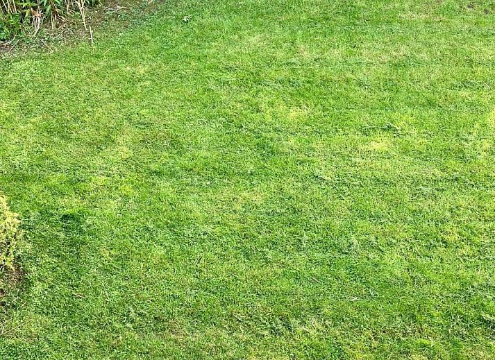 Guest house 1605127 - Holiday property Lauwersmeer - Vakantiehuis 181 Urlaubsruhe