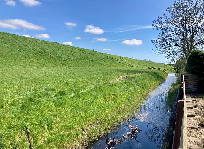 Verblijf 1605170 - Vakantiewoning Lauwersmeer - Vakantiehuis 157 Am Deich