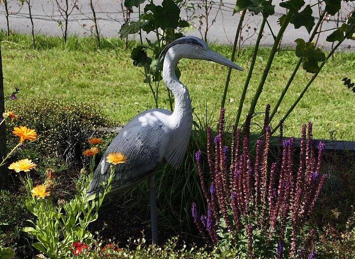 Verblijf 160552 - Vakantiewoning Lauwersmeer - Vakantiehuis Haus Reiher am Lauwersmeer
