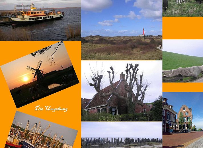 Unterkunft 160561 - Ferienhaus Lauwersmeer - Vakantiehuis 168 Lillian