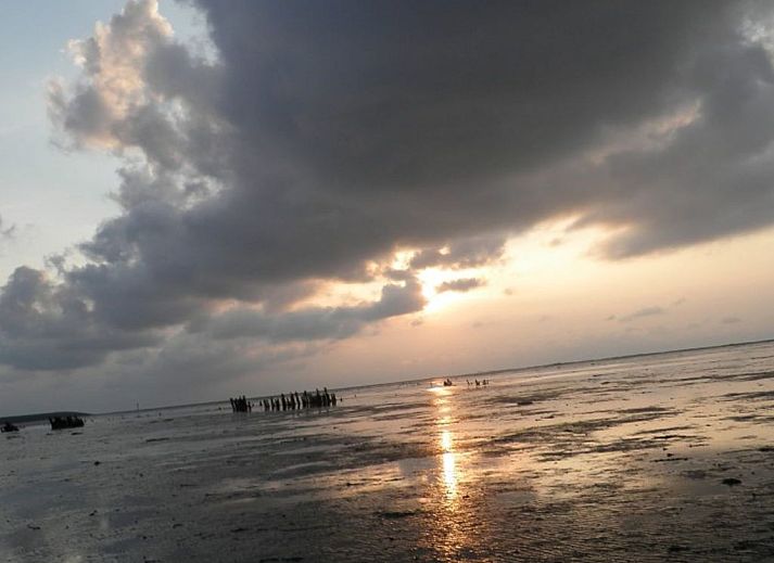 Verblijf 160584 - Vakantiewoning Lauwersmeer - Vakantiehuis 109 Gudrun