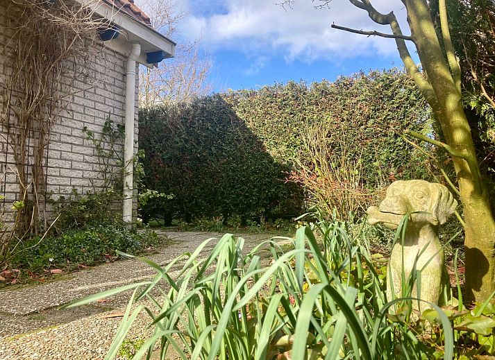 Verblijf 160591 - Vakantiewoning Lauwersmeer - Vakantiehuis 120 Dijkrose