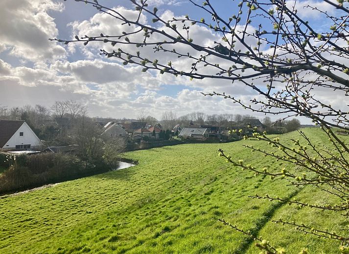 Verblijf 160591 - Vakantiewoning Lauwersmeer - Vakantiehuis 120 Dijkrose