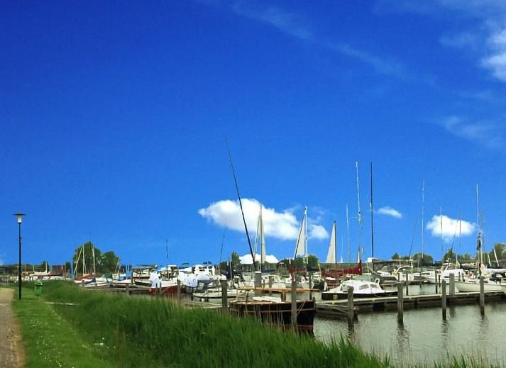 Guest house 160592 - Holiday property Lauwersmeer - Vakantiehuis 319 Jasmin