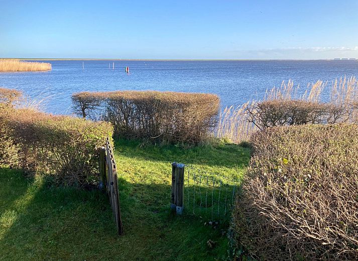 Guest house 160597 - Holiday property Lauwersmeer - Vakantiehuis Haus Sonnenschein mit Blick auf das Lauwersmeer