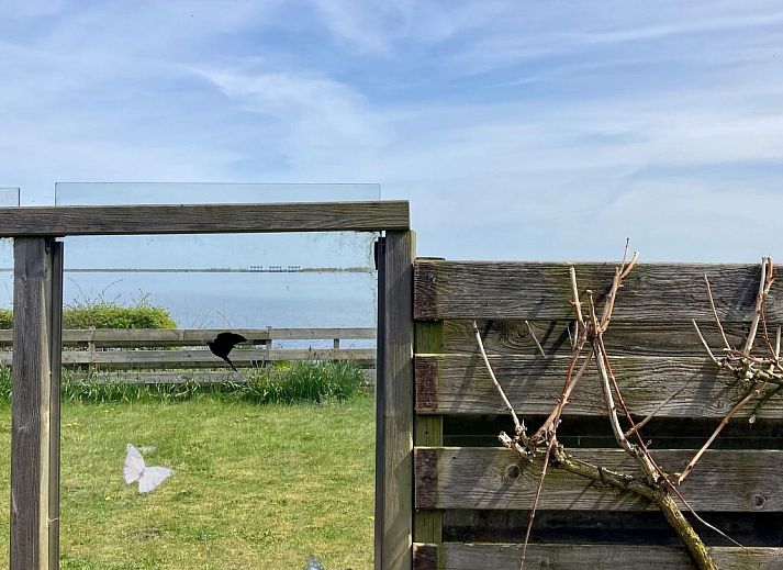 Unterkunft 160598 - Ferienhaus Lauwersmeer - Vakantiehuis 213 Aurora