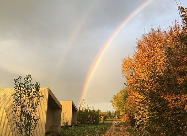 Wooden vacation home with shady veranda in Kollumerpomp, perfect for relaxation in Lauwersmeer, Frisian lakes.