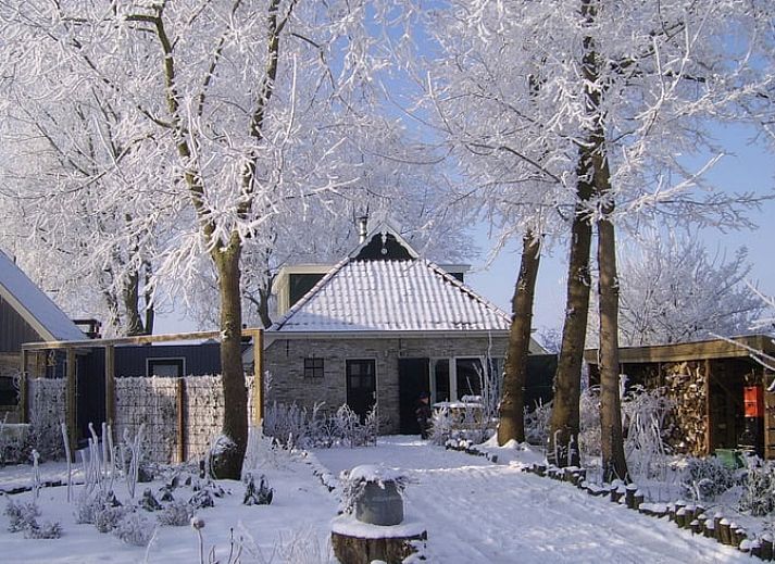 Spacious dining room in Holiday home in Kollumerpomp, Lauwersmeer, with large wooden table and lots of natural light.