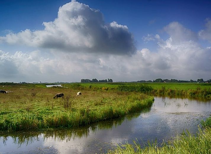 Uitzicht op de tuin vanuit de woonkamer van Huisje in Kollumerpomp, vakantiehuis in Kollumerpomp, Friese meren.