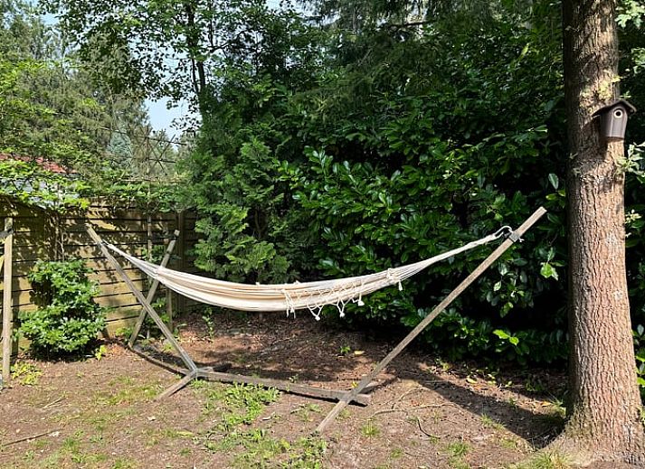 Lichte woonkamer van Vakantiehuis in Spier met uitzicht op de groene omgeving van Drenthe.