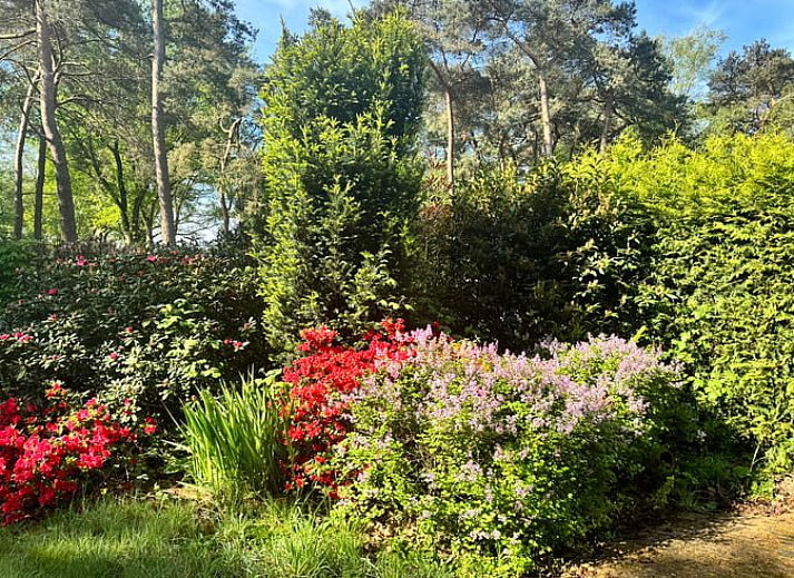 Lichte woonkamer van Vakantiehuis in Spier met uitzicht op de groene omgeving van Drenthe.