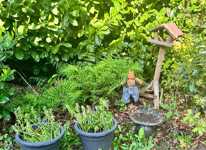 Comfortabele zithoek in Vakantiehuis in Spier, perfect voor ontspannen momenten in Drenthe.