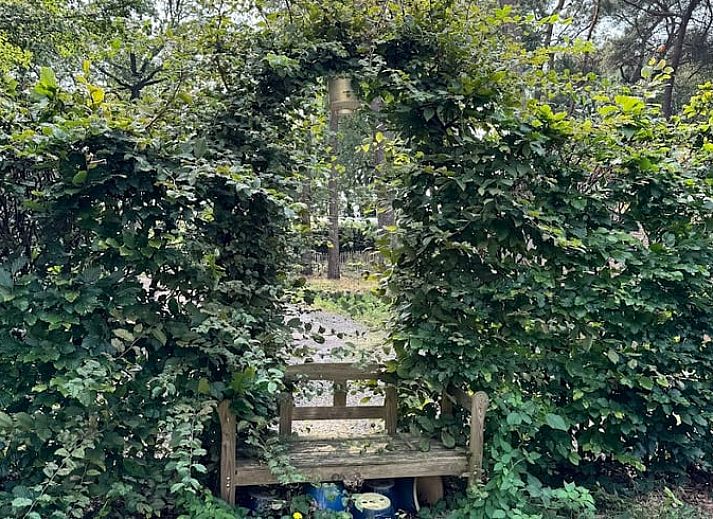 Comfortabele zithoek in Vakantiehuis in Spier, perfect voor ontspannen momenten in Drenthe.