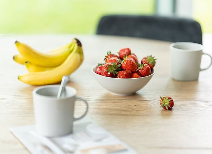 Gezellige zithoek in Vakantiehuisje in Spier, Midden Drenthe met moderne haard.