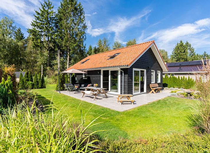 Terras met picknicktafel en parasol bij Vakantiehuisje in Spier, Midden Drenthe.