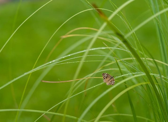 Slaapkamer in Vakantiehuisje in Spier, Drenthe met comfortabel tweepersoonsbed.