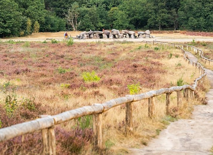 Lichte woonkamer in Vakantiehuisje in Spier, Midden Drenthe met moderne inrichting.