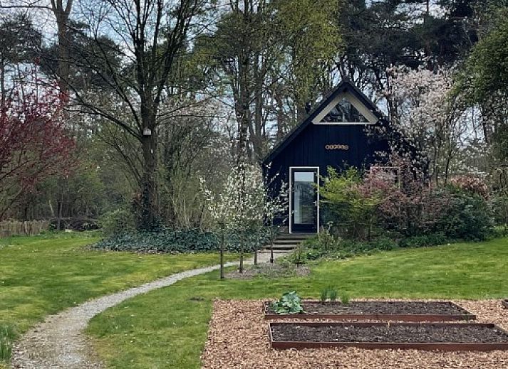Unterkunft 170110 - Ferienhaus Midden Drenthe - Kipelo Cottage