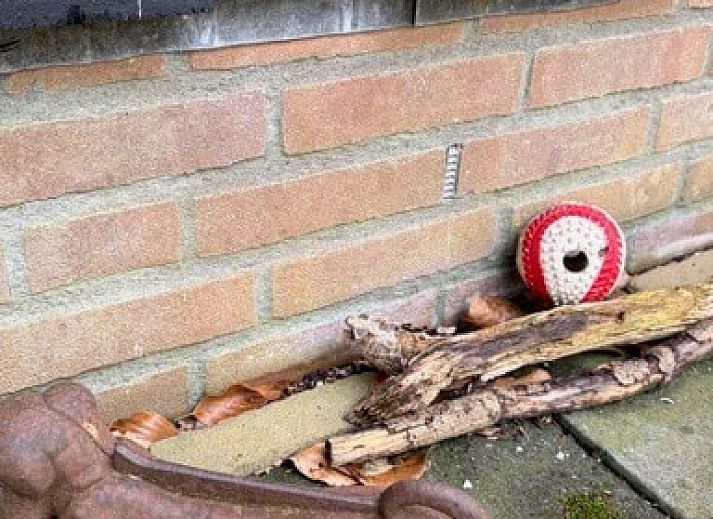 Gemuetliche Kueche des Ferienhauses Kipelo Cottage in Lheebroek, Midden Drenthe, mit modernen Annehmlichkeiten.