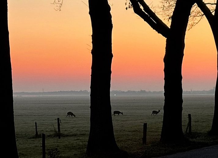 Gemuetliche Kueche des Ferienhauses Kipelo Cottage in Lheebroek, Midden Drenthe, mit modernen Annehmlichkeiten.