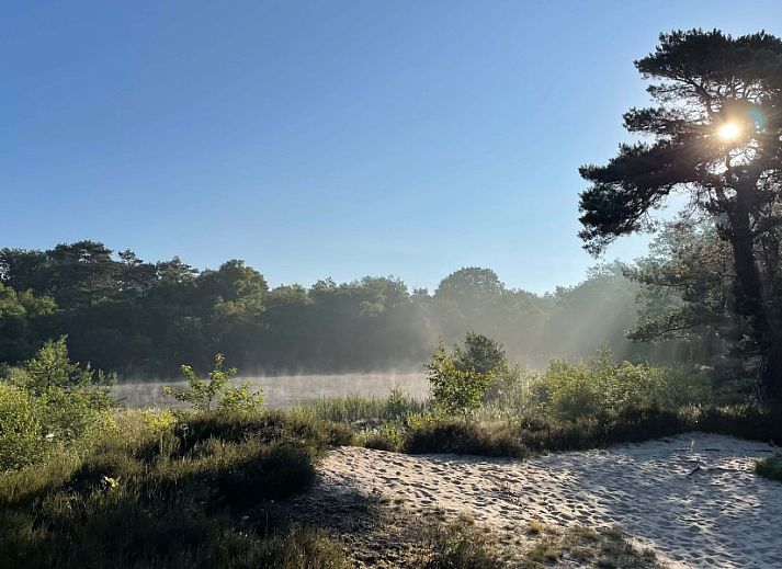 Gemuetliche Kueche des Ferienhauses Kipelo Cottage in Lheebroek, Midden Drenthe, mit modernen Annehmlichkeiten.