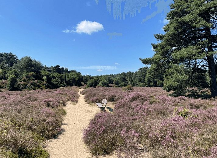 Komfortables Schlafzimmer mit Doppelbett im Kipelo Cottage, Ferienhaus in Lheebroek, Zentral-Drenthe.