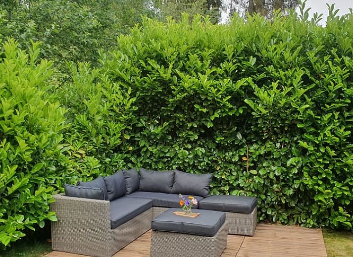 Green garden and terrace of Huisje in Spier, vacation home in Central Drenthe, offers a relaxing natural environment.