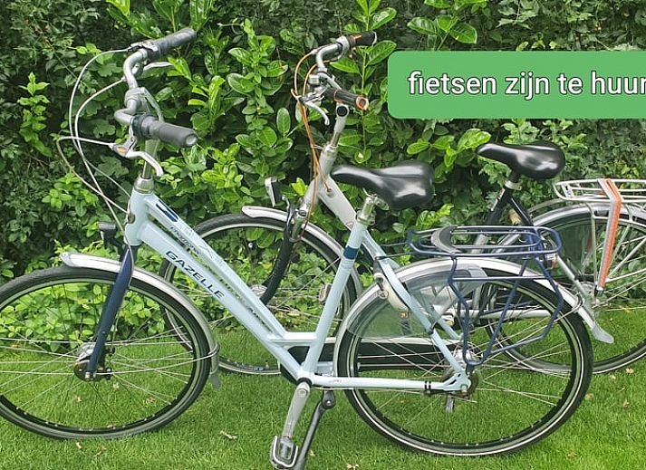 Cozy indoor area of Huisje in Spier, vacation home in Central Drenthe, with wooden interior and comfortable sitting area.