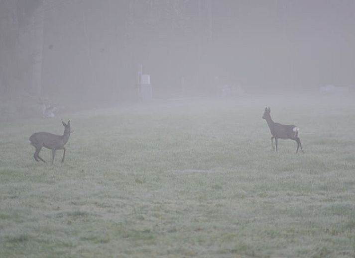 Cozy indoor area of Huisje in Spier, vacation home in Central Drenthe, with wooden interior and comfortable sitting area.