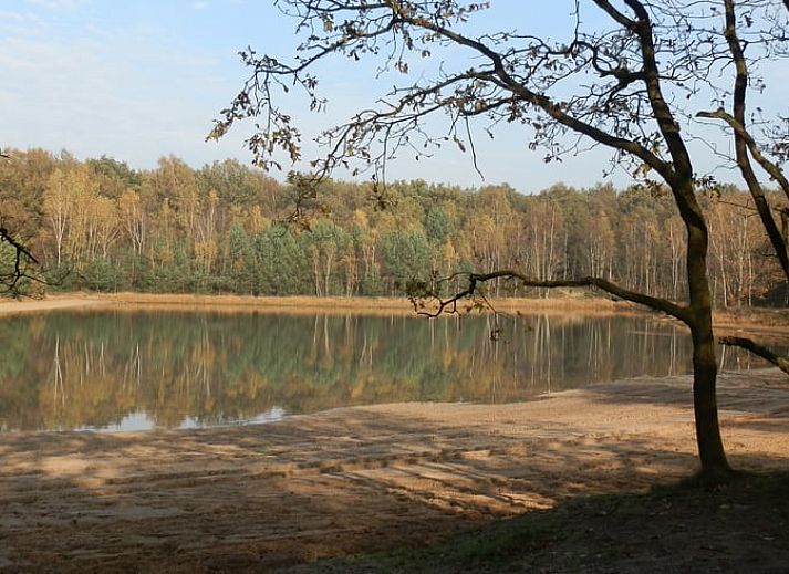 Guest house 170112 - Holiday property Midden Drenthe - Huisje in Spier