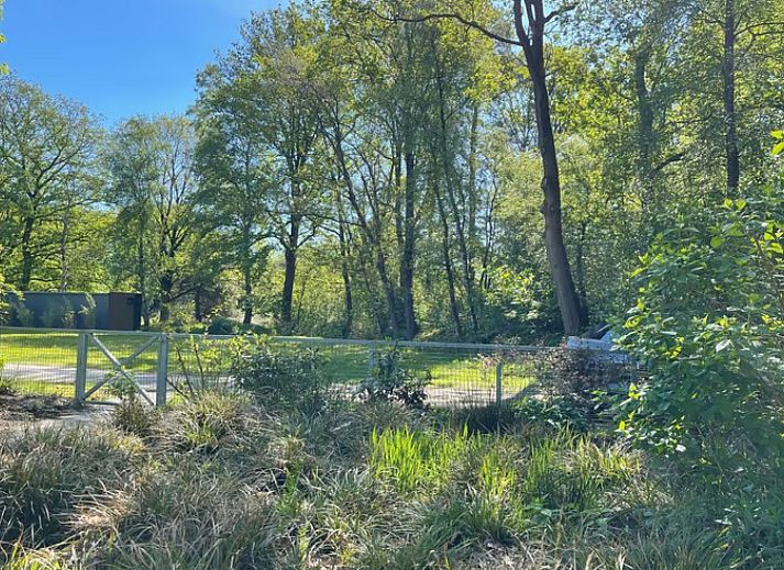 Ferienhaus DG1871 in Spier, Mittel-Drenthe mit Blick auf einen ueppigen Garten und eine Terrasse.