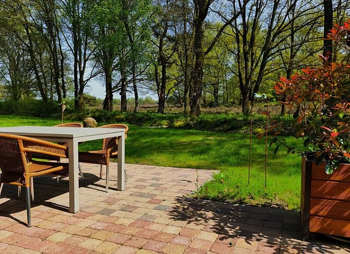 Modern vacation home Cottage in Spier in Drenthe surrounded by nature.