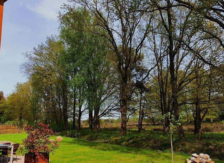 Modern vacation home Cottage in Spier in Drenthe surrounded by nature.