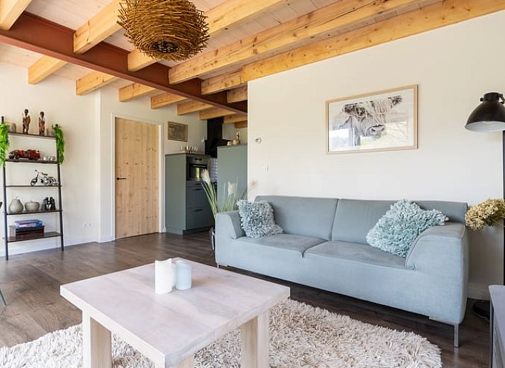 Terrace of Cottage in Spier overlooking green surroundings in Drenthe.
