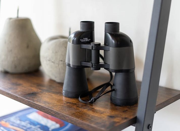 Terrace of Cottage in Spier overlooking green surroundings in Drenthe.