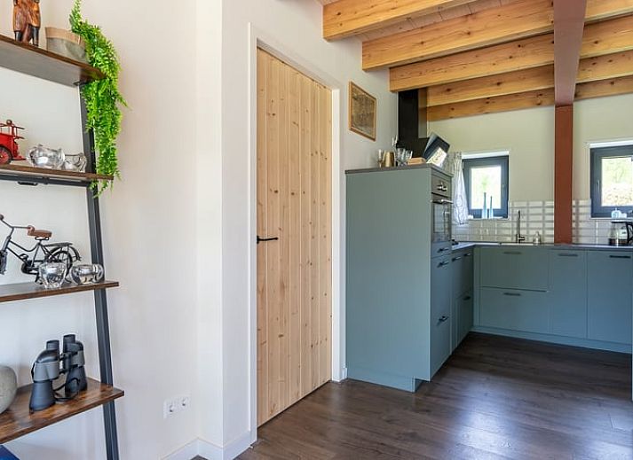 Green surroundings around Cottage in Spier in Central Drenthe.