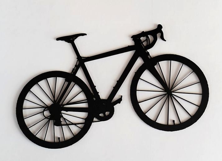 Green surroundings around Cottage in Spier in Central Drenthe.