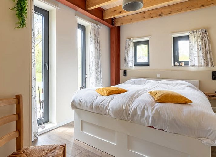 Green surroundings around Cottage in Spier in Central Drenthe.