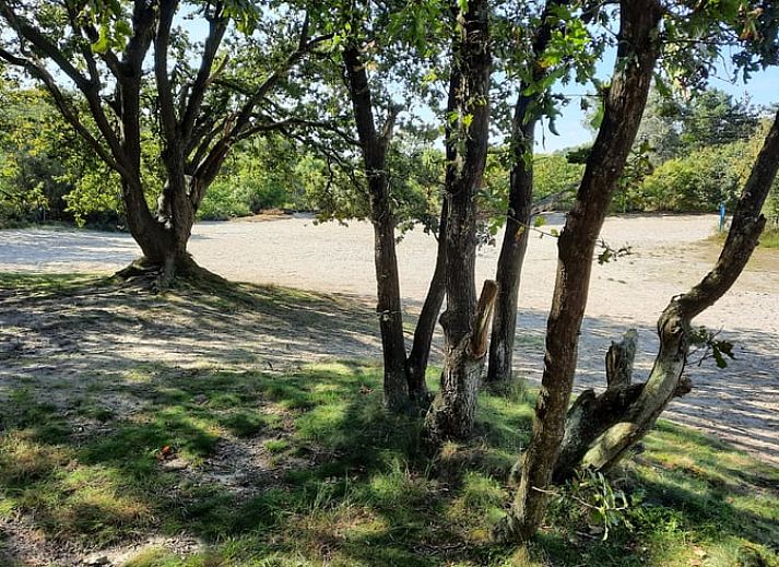 Cozy sitting area in vacation home Cottage in Spier, Middle Drenthe.