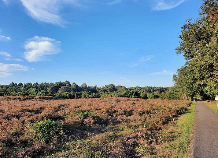 DG1552 Ferienhaus in Spier, Drenthe, umgeben von verschneiten Baeumen und natuerlicher Umgebung.