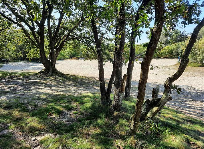 DG1552 Ferienhaus in Spier, Drenthe, umgeben von verschneiten Baeumen und natuerlicher Umgebung.
