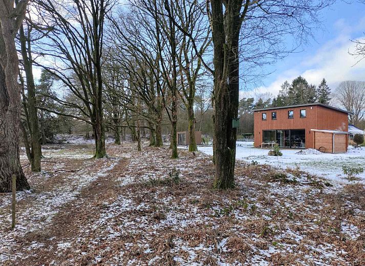 DG1552 Ferienhaus in Spier, Drenthe, umgeben von verschneiten Baeumen und natuerlicher Umgebung.