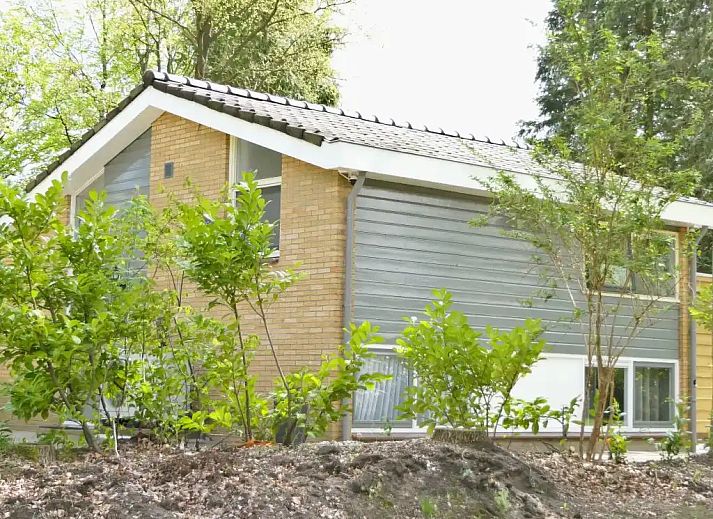Verblijf 170130 - Vakantiewoning Midden Drenthe - De Bosuil Drenthe, Dwingelderveld