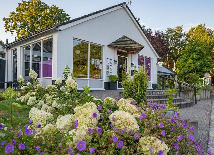 Luchtfoto van Het Kleine Verschil, een charmant vakantiehuis in Zwiggelte, Drenthe.