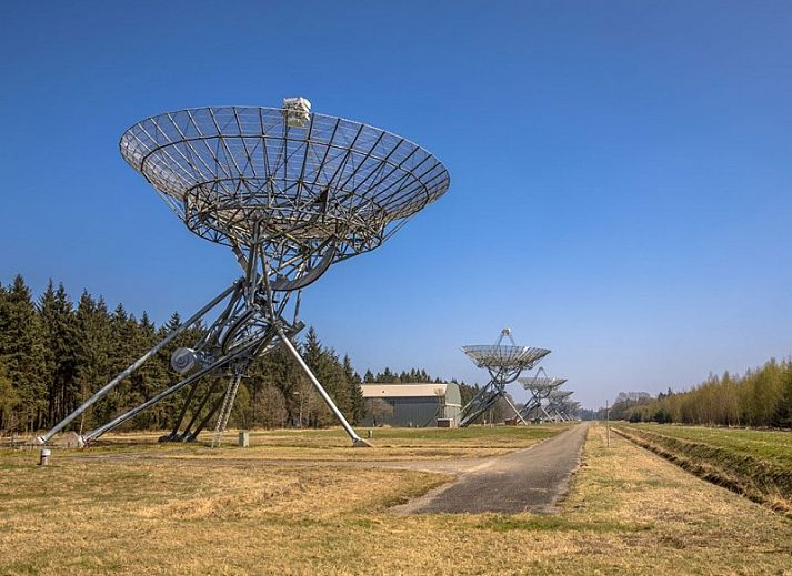 Buitenterras van Het Kleine Verschil, vakantiehuis in Zwiggelte, omgeven door natuur.