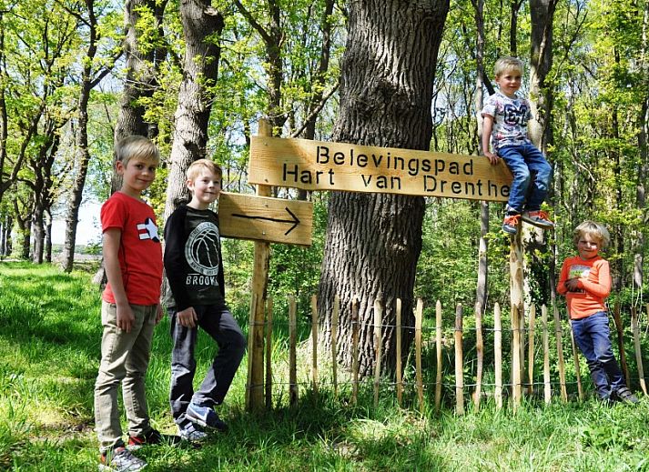 Buitenterras van Het Kleine Verschil, vakantiehuis in Zwiggelte, omgeven door natuur.